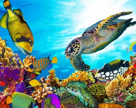 Aesthetic Sea Animals Diamond Painting