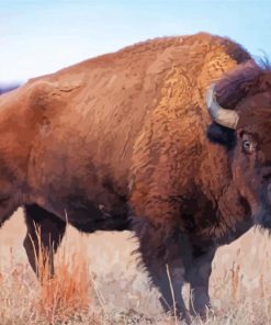 American Bison Animal Diamond Painting