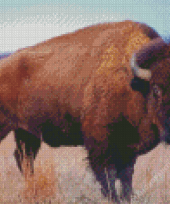 American Bison Animal Diamond Painting