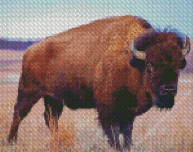 American Bison Animal Diamond Painting