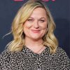 Amy Poehler Actress Diamond Painting