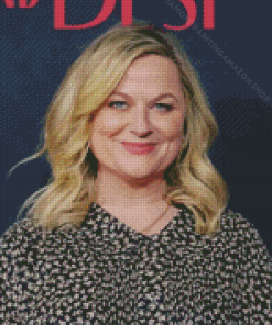 Amy Poehler Actress Diamond Painting