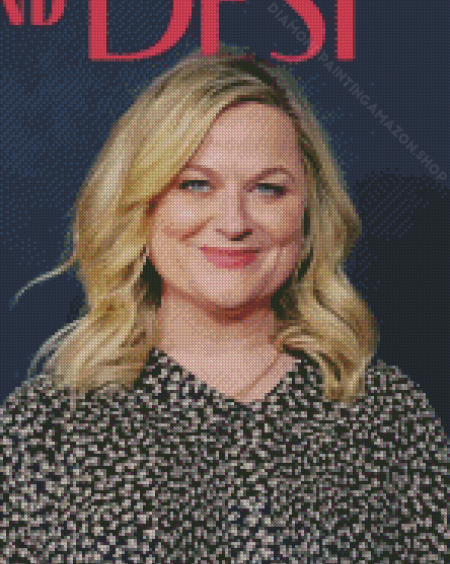 Amy Poehler Actress Diamond Painting