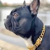 Black French Bulldog With Collar Diamond Painting