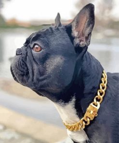 Black French Bulldog With Collar Diamond Painting