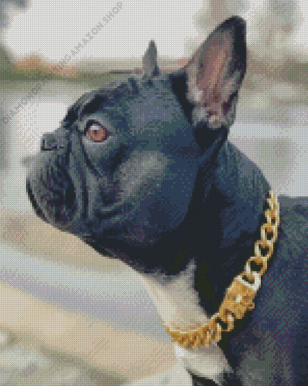 Black French Bulldog With Collar Diamond Painting