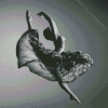 Black And White Ballerina Diamond Painting