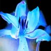 Blue Glowing Flower Diamond Painting