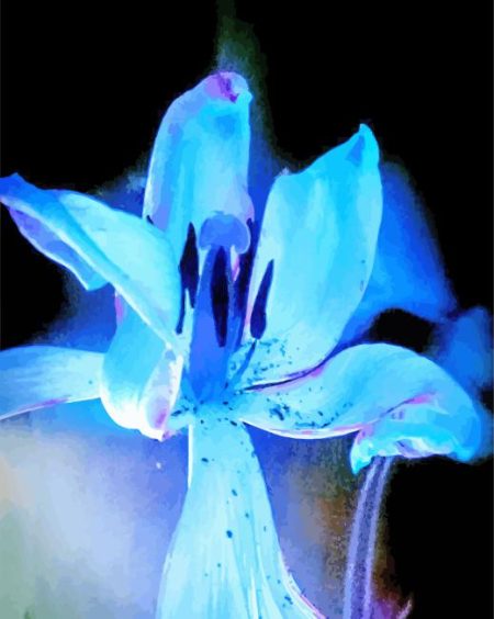 Blue Glowing Flower Diamond Painting