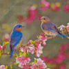 Bluebird On Flowering Tree Diamond Painting