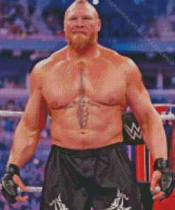 Brock Lesnar Diamond Painting