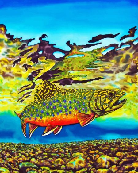 Brook Trout Fish Art Diamond Painting