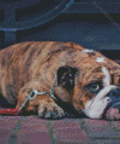 Brown Old English Bulldog Diamond Painting