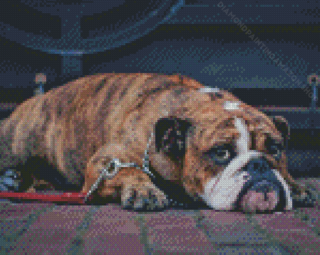 Brown Old English Bulldog Diamond Painting