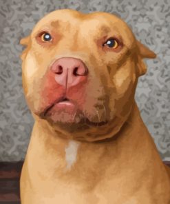 Brown Pitbull Dog Diamond Painting