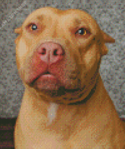 Brown Pitbull Dog Diamond Painting