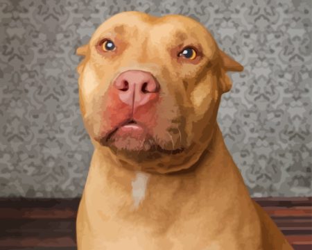 Brown Pitbull Dog Diamond Painting
