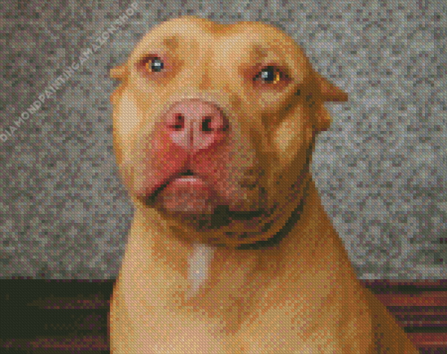 Brown Pitbull Dog Diamond Painting