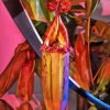 Carnivorous Plant Diamond Painting