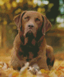 Chesapeake Bay Retriever Dog Diamond Painting