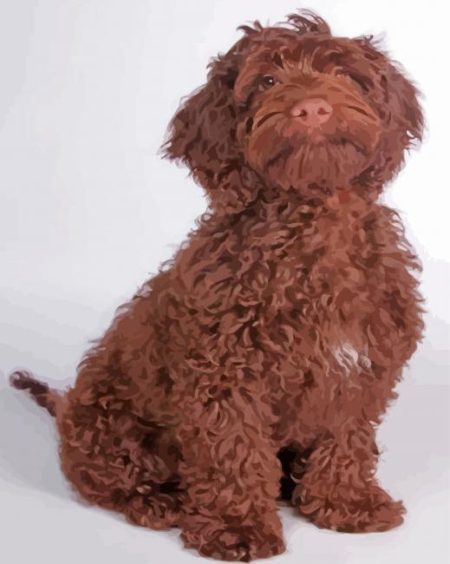 Chocolate Cockapoo Dog Diamond Painting