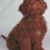 Chocolate Cockapoo Dog Diamond Painting