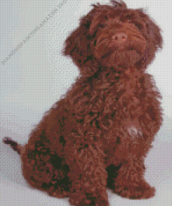 Chocolate Cockapoo Dog Diamond Painting