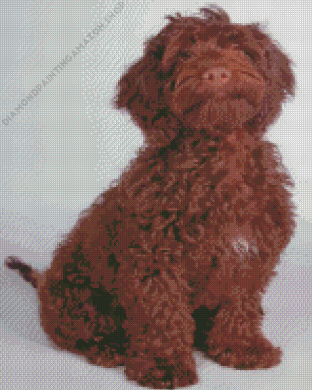 Chocolate Cockapoo Dog Diamond Painting