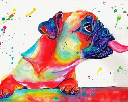Colorful Splash Pug Diamond Painting