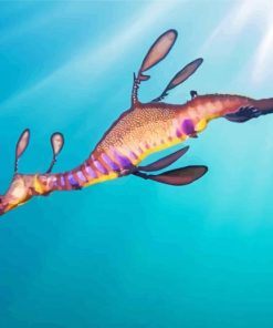 Common Seadragon Diamond Painting