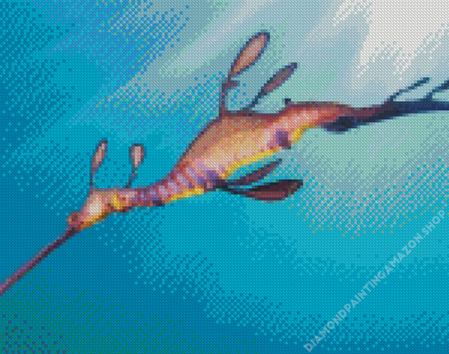 Common Seadragon Diamond Painting