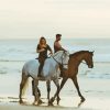 Couple Riding Horses At Beach Diamond Painting