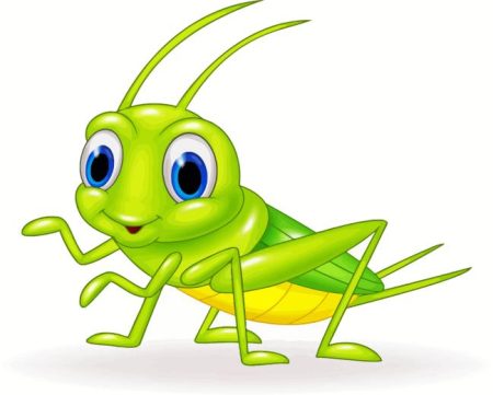 Cute Cricket Insect Art Diamond Painting