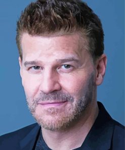 David Boreanaz Actor Diamond Painting