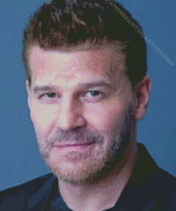 David Boreanaz Actor Diamond Painting