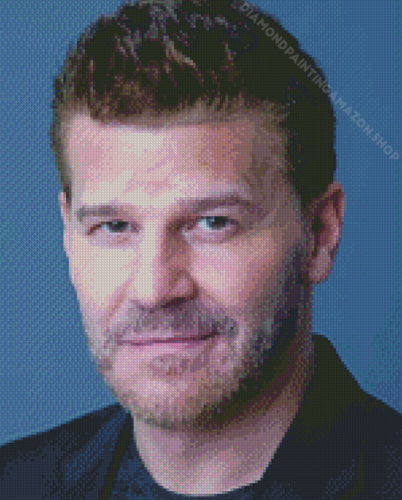 David Boreanaz Actor Diamond Painting