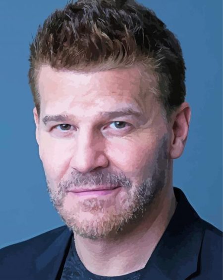 David Boreanaz Actor Diamond Painting