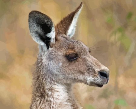 Eastern Grey Kangaroo Diamond Painting