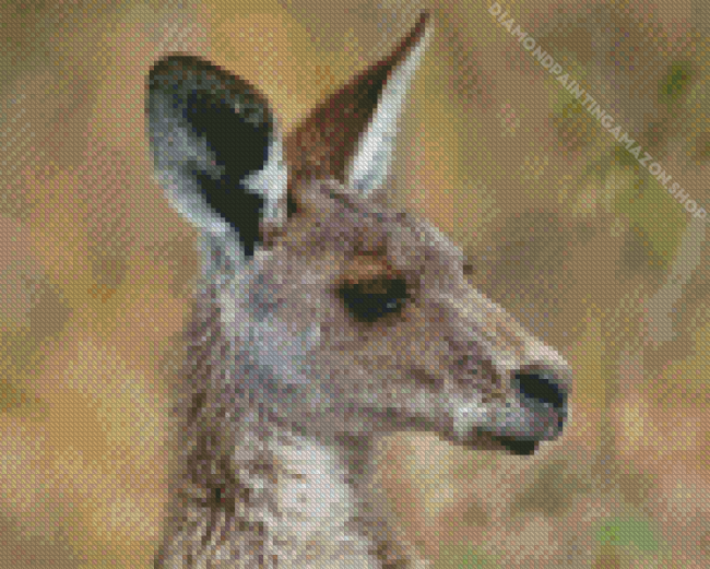 Eastern Grey Kangaroo Diamond Painting