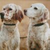 English Setter Puppies Diamond Painting