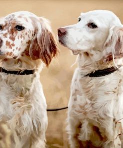 English Setter Puppies Diamond Painting