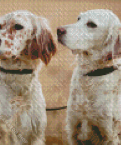 English Setter Puppies Diamond Painting