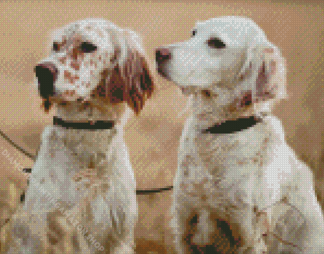 English Setter Puppies Diamond Painting