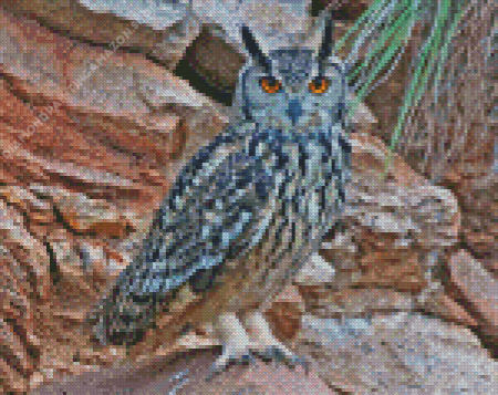 Eurasian Eagle Owl Birds Diamond Painting