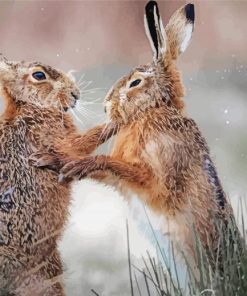 Fighting Hares Diamond Painting