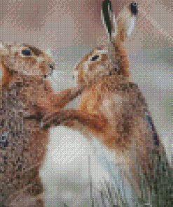 Fighting Hares Diamond Painting