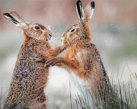 Fighting Hares Diamond Painting
