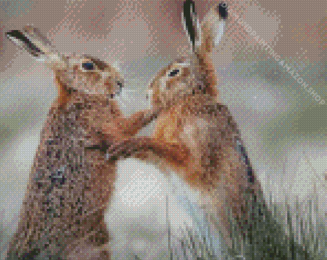 Fighting Hares Diamond Painting