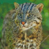 Fishing Cat Animal Diamond Painting