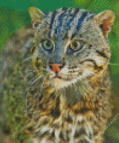 Fishing Cat Animal Diamond Painting